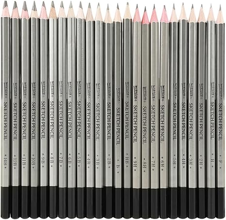 专业素描铅笔套装 24 件素描艺术石墨绘图铅笔 彩色铅笔9h 14b 艺术用品 学生绘画工具 亚马逊中国 玩具