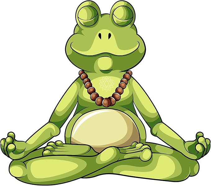 (3 件)快乐冥想青蛙贴纸贴花 10.