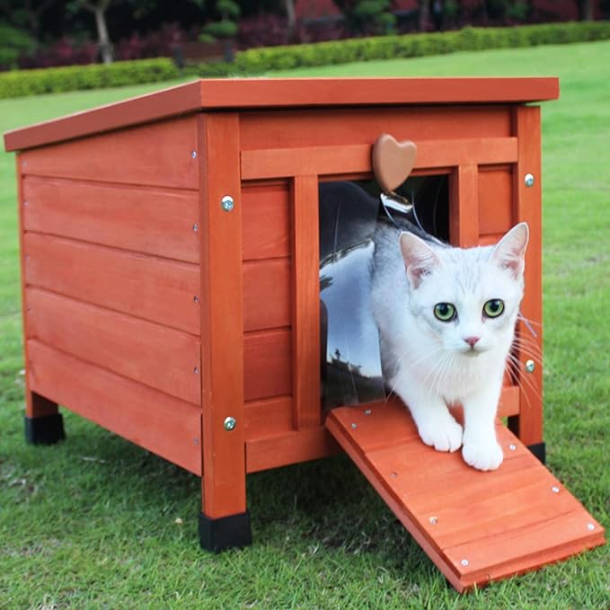 小型动物屋笼户外猫公寓木制豚鼠屋