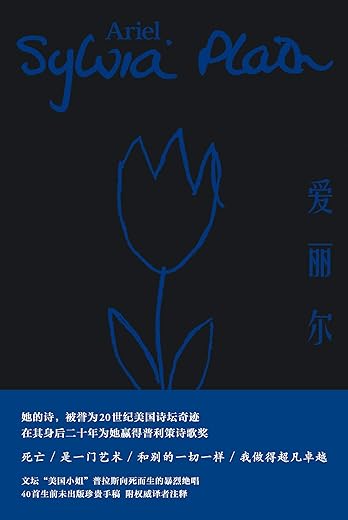 爱丽尔