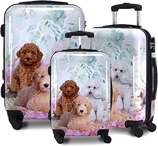 4 颗星,最多 5 颗星45chariot travelware gatsby 2 件式硬壳随身行李