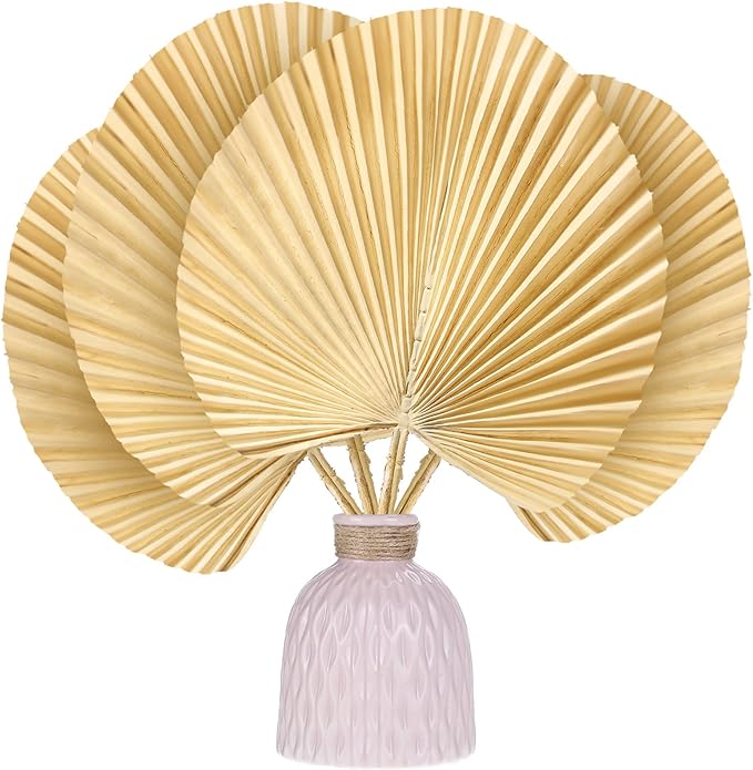 干棕榈叶人造干棕榈扇波西米亚花蛋糕装饰干花植物用于波西米亚婚礼