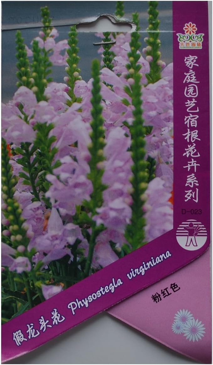 津沽园艺花卉种子假龙头花种子花卉种子观赏植物种子园林美化庭院种植5包 津沽园艺 价格报价图片 亚马逊中国