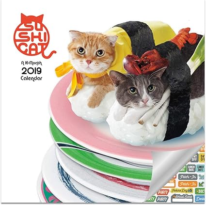Sushi 猫日历19 套装 豪华19 寿司猫挂日历带100 多个日历贴纸 寿险猫礼物 办公用品 办公用品 亚马逊中国
