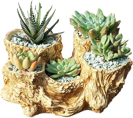 Bfttlity 仿木堆多孔多肉盆人工漂流木多肉植物花盆独特原木花盆适用于花卉和小植物 自然色 亚马逊中国 家居装修