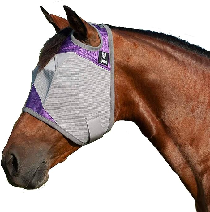 equibrand 十字军飞行面具标准(兰花,阿拉伯)