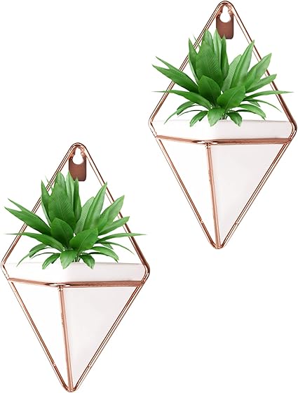 Originalidad 悬挂花瓶 几何壁植物装饰容器 植物支架多肉植物 空气植物 Minicactus 人造植物更多 2 件套 家居 亚马逊中国