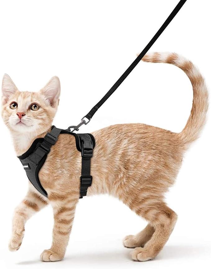 rabbitgoo 猫用胸背带和牵引带,防逃生柔软可调节猫背心胸背带,易于