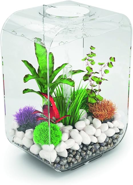 Oase Biorb Life 15 Led 水族箱 15 升 水族箱完整套装 带led 照明和 过滤系统 亚克力水槽 亚马逊中国 宠物用品