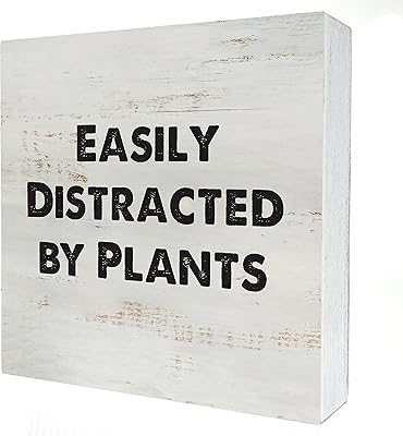 17浴室语录木盒标志桌面装饰 i know you farted 木块牌匾乡村风格