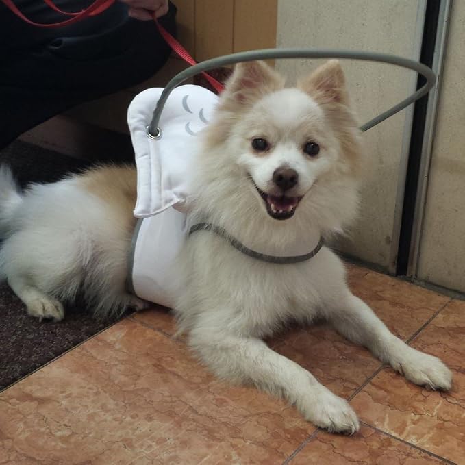 muffin's 光晕指南,小号,持久保护盲犬头,鼻子,脸部和肩膀,从