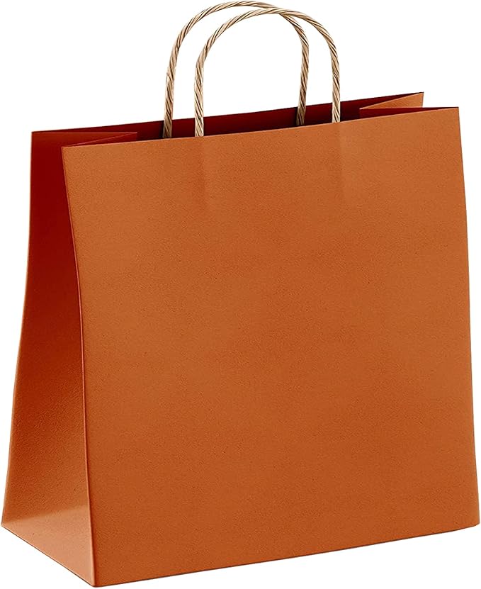amiff 纸质购物袋 16x6x12 牛皮纸袋 16 x 6 x 12 25 个装橙色零售包.