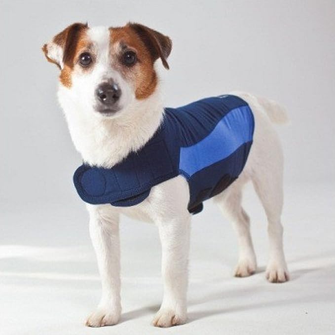 thundershirt 狗狗蓝色 xl 码 : 亚马逊中国: 宠物用品