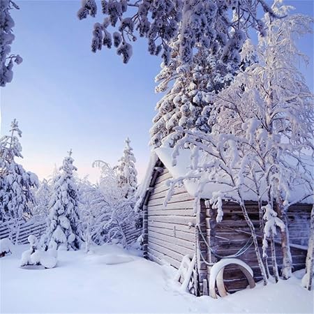Csfoto Csfoto 冬季雪地景背景摄影背景冻结森林木屋白色世界冷阳光自然风景户外假日旅游摄影工作室白色道具涤纶壁纸 价格报价图片评测多少钱 Csfoto Csfoto 冬季雪地景背景摄影背景冻结森林木屋白色世界冷阳光自然风景户外假日旅游摄影工作室白色道具涤纶壁纸 价格报价图片评测多少钱