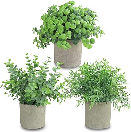 Joyhalo 3 件装人造盆栽植物 辅桉树和迷迭香绿植物盆栽 适用于室内桌面装饰 亚马逊中国 个护健康