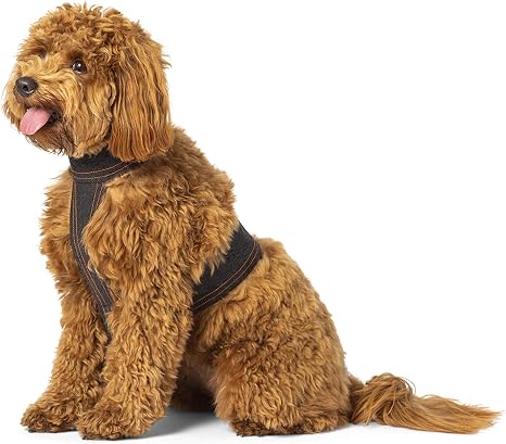 Calmer Canine 设备和背心大 亚马逊中国 宠物用品