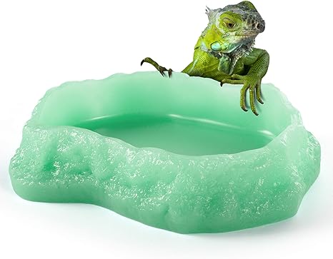 爬行动物食品水岩碗 夜光两栖喂食盘 树脂岩蠕虫喂食器玻璃容器 适用于蜥蜴 变色龙 豹纹壁虎 青蛙 胡子龙 蛇 Hermit 螃蟹 乌龟蜘蛛宠物