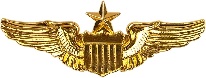 auear,金属飞行员别针*翅膀别针 usaf *高级飞行员翼徽章金色 : 亚马