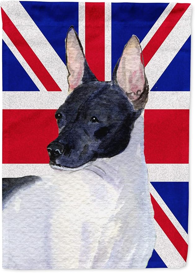 caroline's treasures ss4922gf rat terrier 带英国英国国旗