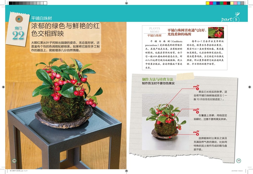 苔玉制作与欣赏 摘要书评试读 图书