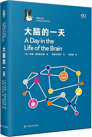大脑的一天