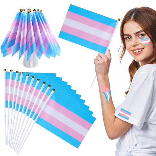 mixweer 100 件跨性别旗帜迷你彩虹跨性别骄傲旗帜棒上小手持式 lgbt