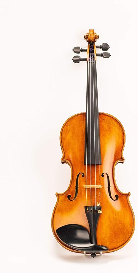 d z strad model 512 小提琴 4/4 全尺寸专业手工制作 $900 免费礼品