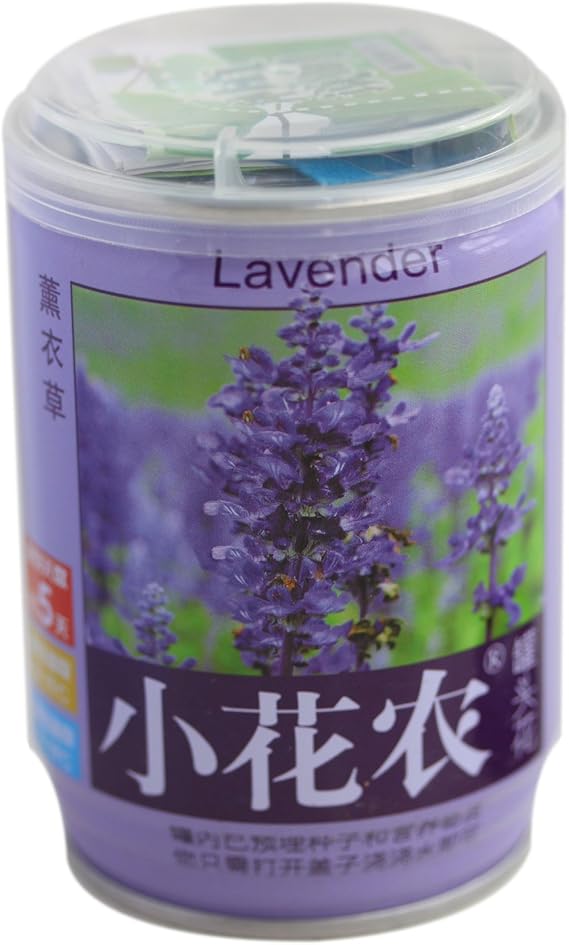 小花农diy易拉罐办公室防辐射迷你植物盆栽罐头花薰衣草 玩具 亚马逊中国