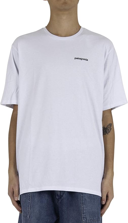 patagonia 男士 有机棉t logo-t 夏季短袖 t恤 39174