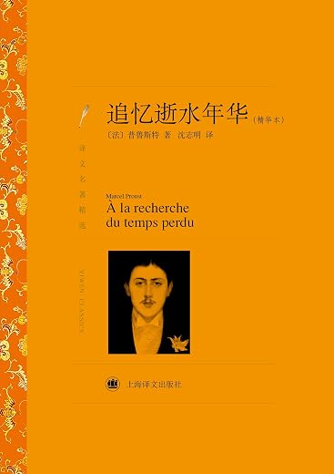追忆逝水年华 追忆逝水年华