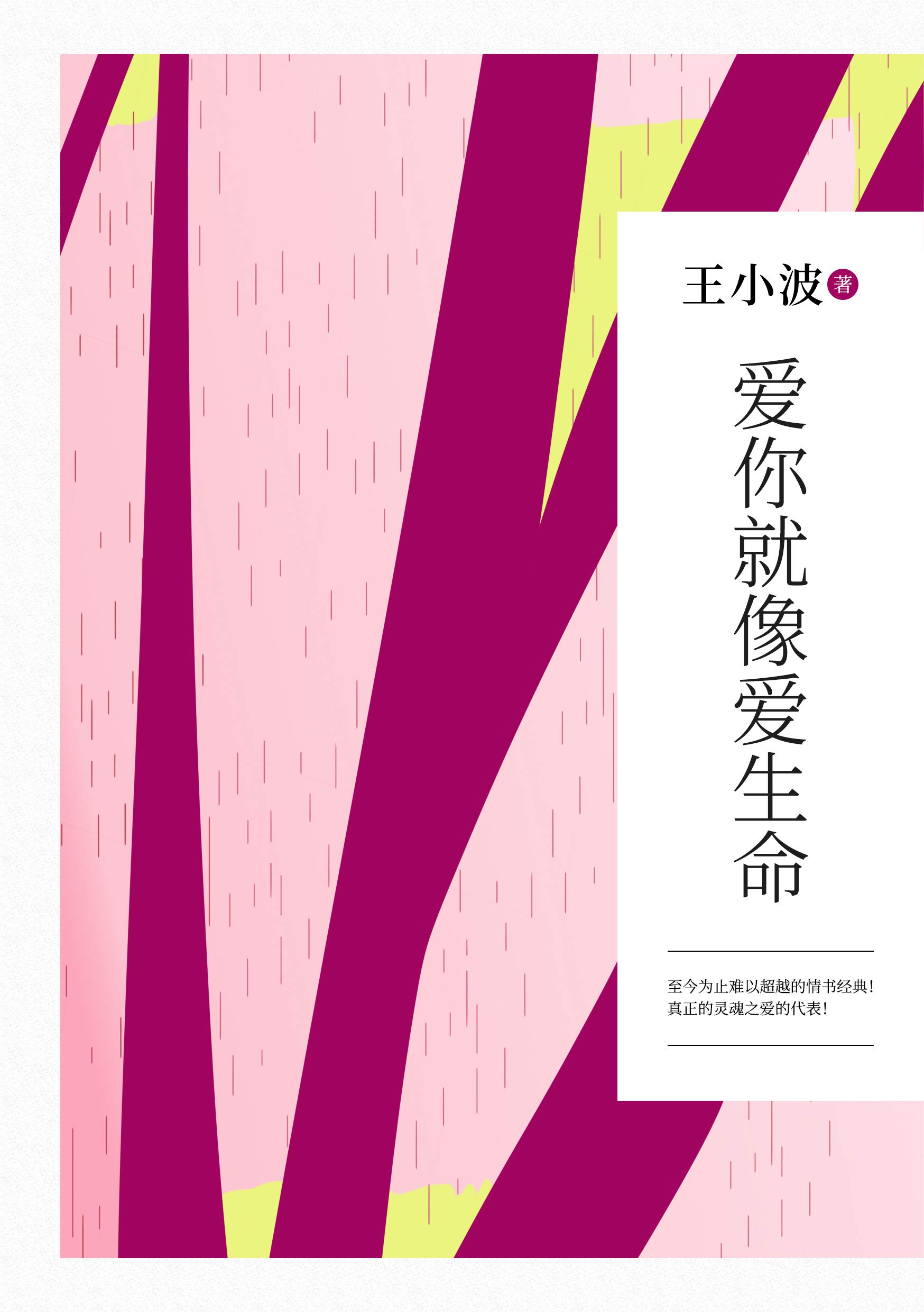 《王小波全集》（全10册）文字版电子书[EPUB]