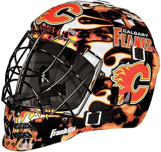 franklin sports nhl 球队标志迷你曲棍球守门员面具,带盒子 - 收藏