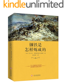 钢铁是怎样炼成的 翻译大家梅益先生独家译本 名著名译丛书 尼 奥斯特洛夫斯基 梅益书评简介电子书下载