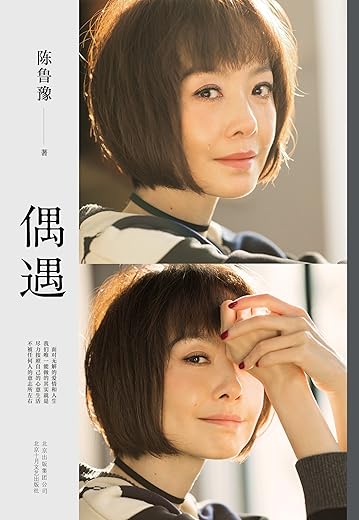 《偶遇》（鲁豫时隔15年全新作品集）陈鲁豫【文字版_PDF电子书_下载】