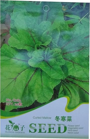 锦萱花仙子系列冬寒菜种子又称冬苋菜 葵菜家庭