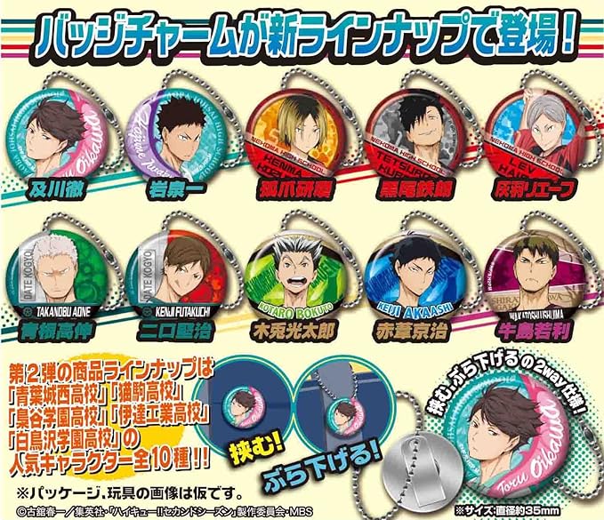 排球少年 角色徽章金属饰品2 10个装食玩 口香糖 排球 玩具 亚马逊中国