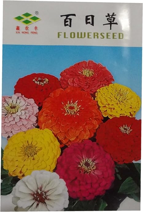 锦萱百日草种子别称 百日菊 步步高 火球花 对叶菊 秋罗 步登高家庭种植实用装阳台室内盆栽花卉种子庭院花种子 锦萱 价格 锦萱百日草种子别称 百日菊 步步高 火球花 对叶菊 秋罗 步登高家庭种植实用装阳台室内盆栽花卉种子庭院花种子 锦萱 价格
