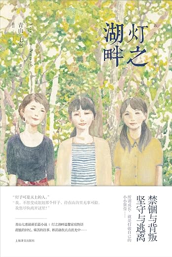 《湖畔》东野圭吾（继白夜行后又一力作）文字版电子书[PDF]