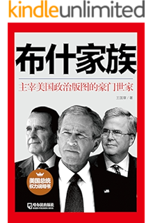 《梦想的高度:克林顿传(独辟蹊径地剖析总统任期结束之后克林顿的布衣