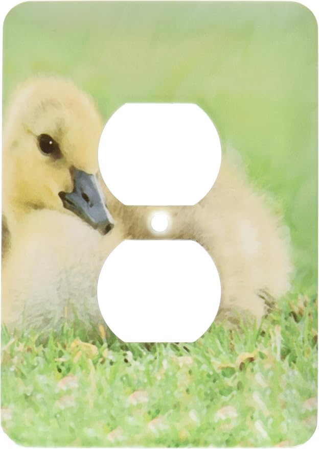 3drose lsp _ 4184 _ 6 baby duckling 2插头插座盖
