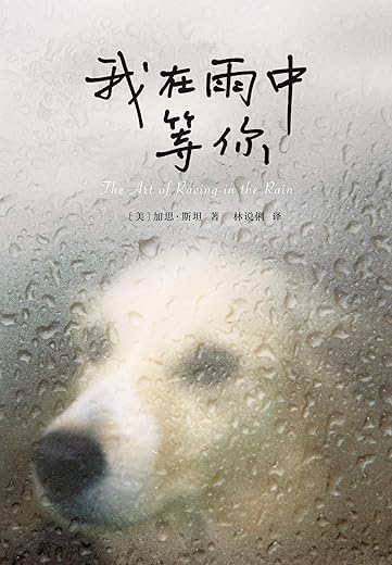 我在雨中等你 我在雨中等你