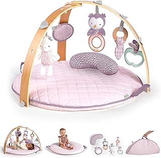 ingenuity cozy spot 双面羽绒被活动健身和游戏垫带木制玩具杆