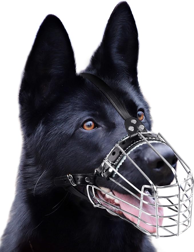 petristor 狗狗镀铬金属嘴套线篮可调节皮革带德国牧羊犬加固(1)鼻口