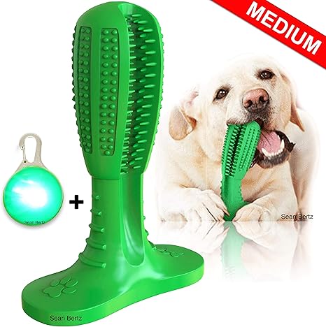 狗狗牙刷棒狗狗牙齿清洁磨牙玩具小狗牙刷牙刷 狗狗牙齿清洁器耐咬玩具适合所有品种中大型犬种 中 亚马逊中国