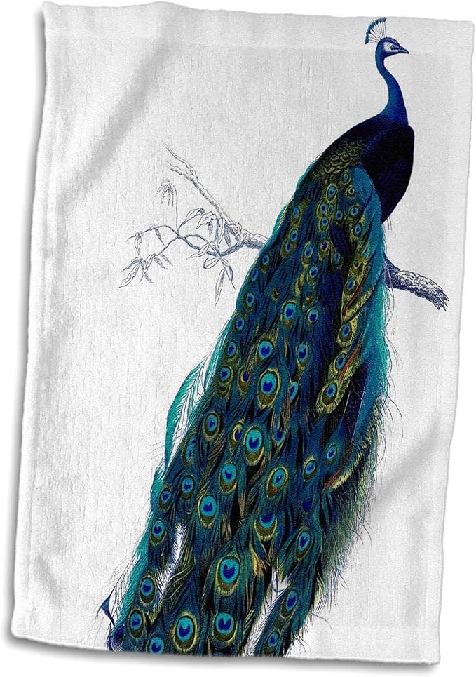 3d 玫瑰美丽复古孔雀手/运动毛巾,38.1 x 55.88 厘米 【3drose】 价格