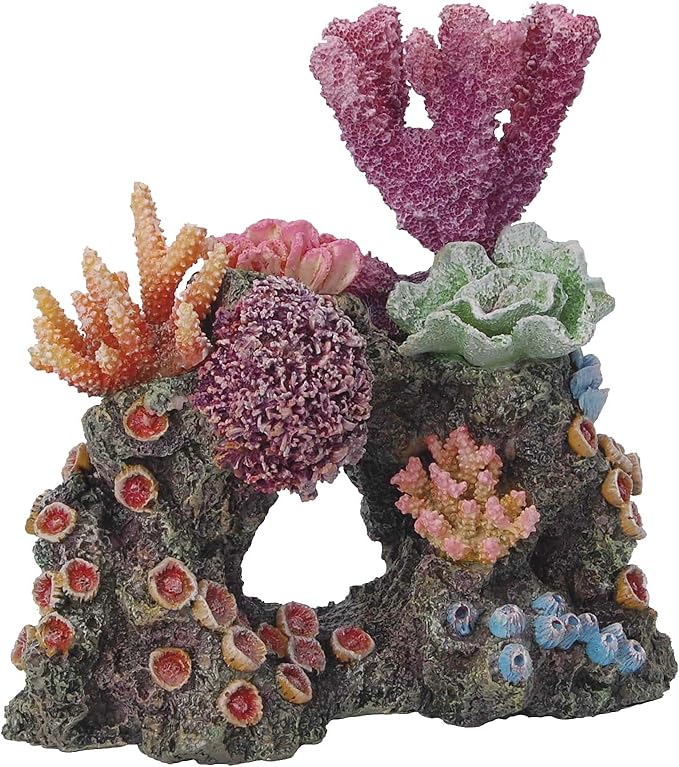 haquoss reef dream 12 水族箱装饰装饰品,16 厘米长 x 11 厘米宽 x