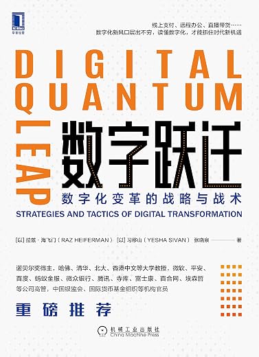 数字跃迁:数字化变革的战略与战术 数字跃迁:数字化变革的战略与战术