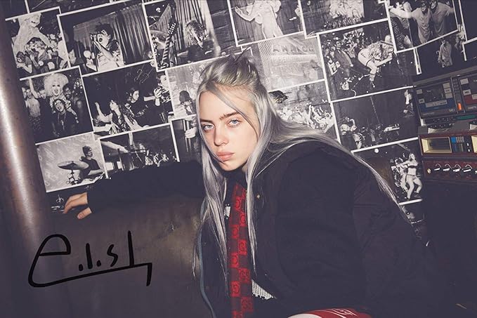 billie eilish 灰色*和签名流行歌手墙饰海报 40.64 x 63.5 厘米