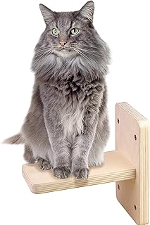 猫用品 宠物用品 Amazon Cn 猫用品 宠物用品 Amazon Cn