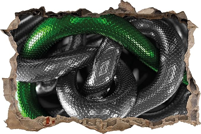 pixxprint 3d_wd_4829_92x62 相互缠绕的蛇纹墙绘贴,乙烯基,黑色/白色